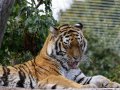 ZOO-Viden 24 srpen 2014 088.JPG
